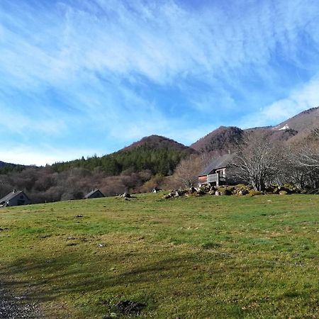 Les Chalets De La Foret D'Issaux Osse-en-Aspe ภายนอก รูปภาพ