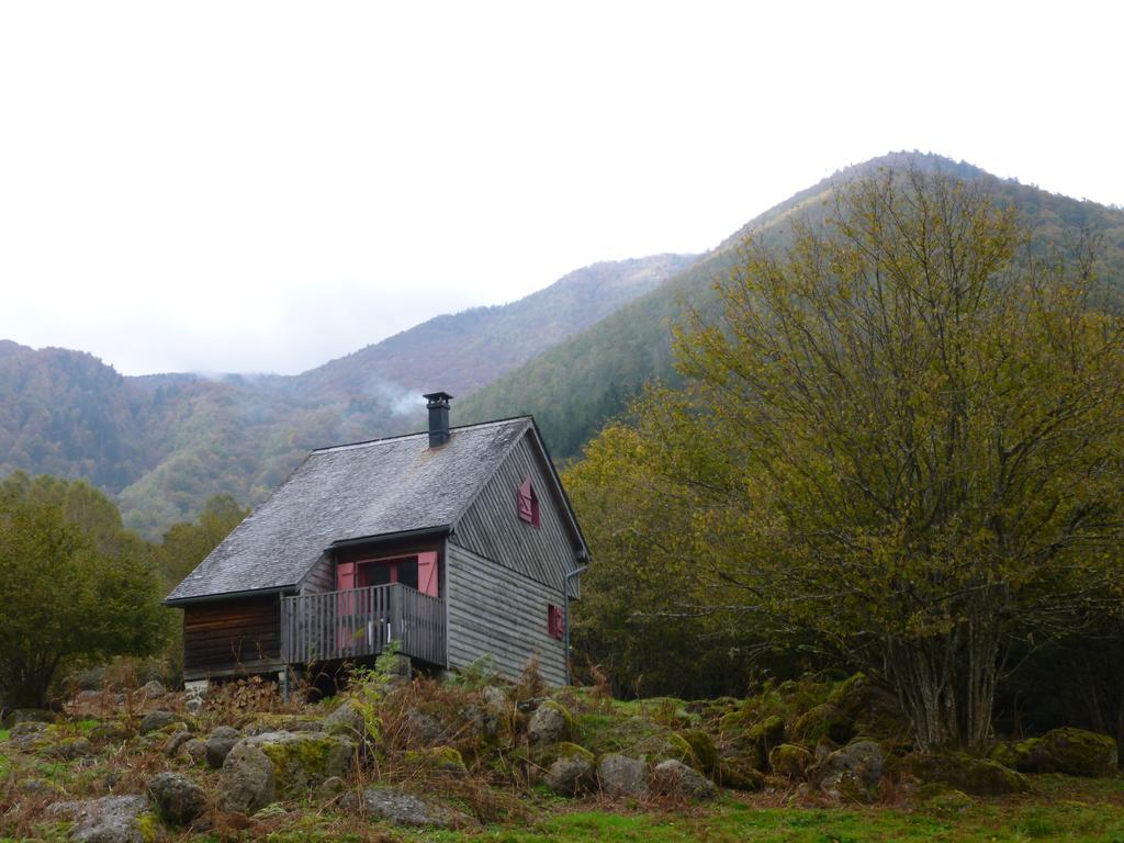 Les Chalets De La Foret D'Issaux Osse-en-Aspe ภายนอก รูปภาพ