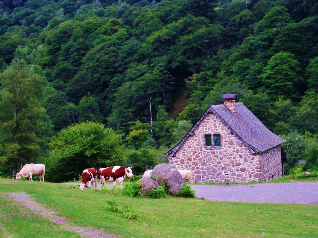 Les Chalets De La Foret D'Issaux Osse-en-Aspe ภายนอก รูปภาพ