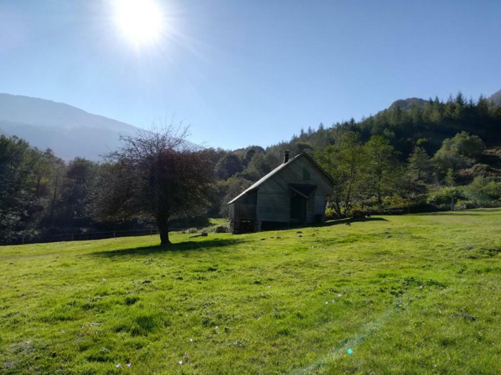 Les Chalets De La Foret D'Issaux Osse-en-Aspe ภายนอก รูปภาพ