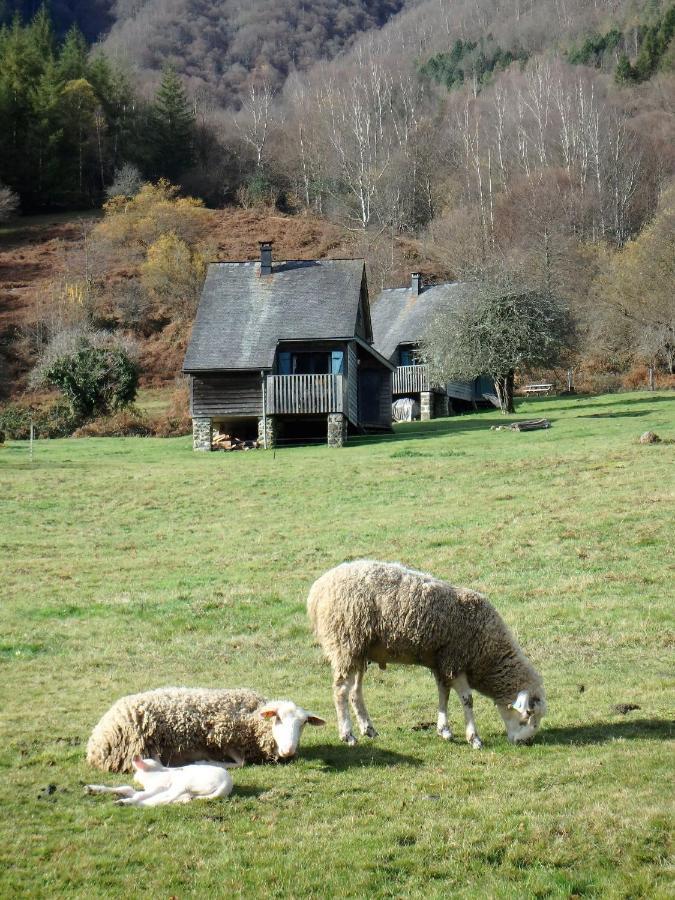 Les Chalets De La Foret D'Issaux Osse-en-Aspe ภายนอก รูปภาพ