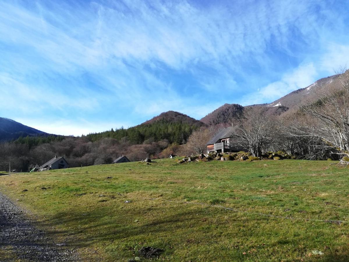 Les Chalets De La Foret D'Issaux Osse-en-Aspe ภายนอก รูปภาพ
